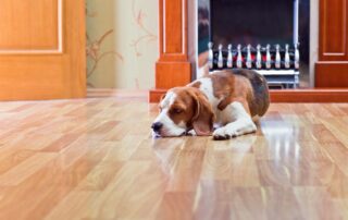 hardwood floors